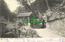 R613553 Isle Of Wight. Shanklin Chine. Tuck. Town And City Series 2104. Isle Of - Monde