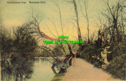 R612453 Wanstead Park. The Crooked Tree. C. And M. 1909 - Monde