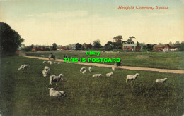 R612557 Henfield Common. Sussex. Brighton Palace Series. Pictorial Centre. No. 1 - Monde