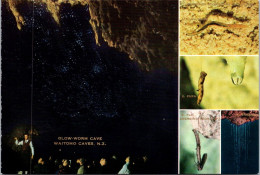 5-5-2024 (4 Z 13) New Zealand - Waitomo Glow-Wam Cave - Nueva Zelanda
