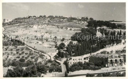 73308121 Jerusalem Yerushalayim Mount Of Olives Jerusalem Yerushalayim - Israele