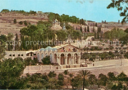 73303639 Jerusalem Yerushalayim Old City Basilica And Gardens Of Gethsemane Jeru - Israel