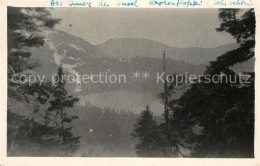 73301811 Wrangell_Alaska Landschaftspanorama Einer Insel - Autres & Non Classés