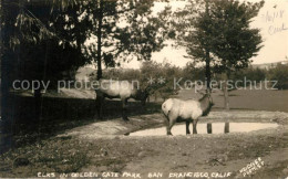 73301797 San_Francisco_California Elks In Golden Gate Park - Andere & Zonder Classificatie