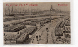 59 - DUNKERQUE - Un Arrivage D'E.-d.-V. D'Algérie   (L36) - Dunkerque