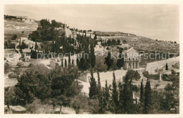 73299599 Jerusalem Yerushalayim Mount Of Olives With Garden Of Gethsemane Oelber - Israele