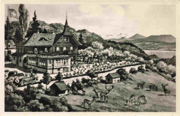 13974536 KueSNACHT_Zuerichsee_ZH Restaurant Und Kurhaus Waldhaus Johannesburg Ku - Autres & Non Classés