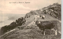 13950505 Rigi_Staffel Und Kulm Mit Zugersee - Autres & Non Classés