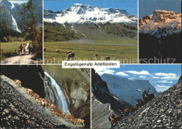 11864275 Adelboden Engstligenalp Kuehe Ziege Wasserfall Adelboden BE - Other & Unclassified