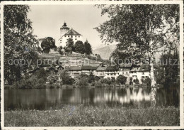 11847115 Werdenberg Schloss Werdenberg - Autres & Non Classés