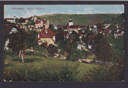 Ansichtskarte Hohnstein Sächs. Schweiz Sachsen Löbau - Sonstige & Ohne Zuordnung