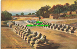 R613801 17. Karnak. Avenue Of Sphinxes. LL. Avenue Des Sphinx - Wereld
