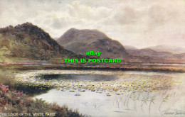 R614526 Loch Of White Fairy. Walter Severn. Scottish Lochs. Series V. Tuck. Oile - Wereld