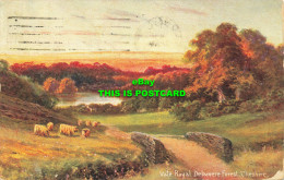 R614545 Vale Royal Delamere Forest. Cheshire. S. Hildesheimer. View Of Cheshire - Monde