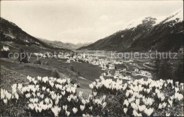 11772995 Samedan Panorama Krokuswiese Samedan  - Sonstige & Ohne Zuordnung