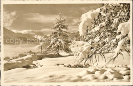 11772975 Samedan Winterlandschaft Samedan  - Sonstige & Ohne Zuordnung