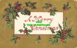 R614572 A Merry Christmas. 4221. 1909. Greeting Card - Mundo