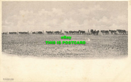 R613886 2324. A Farming Scene Near Hanford. Cal. M. Rieder - Welt