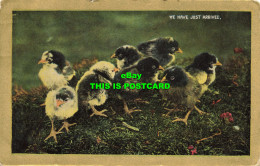 R614602 We Have Just Arrived. Chicks. Valentines Series. 1909 - Welt