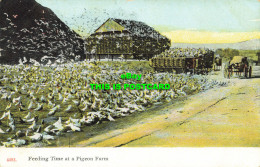 R613888 4483. Feeding Time At A Pigeon Farm. Paul C. Koeber. PCK Series - Welt