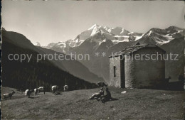 11761965 Graechen VS Hannig-Alp Matterhorn-Weisshorn-Bieshorn Barrhoerner Graech - Autres & Non Classés