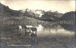 11758845 Oberblegisee Kuehe Hausstock Luchsingen - Sonstige & Ohne Zuordnung