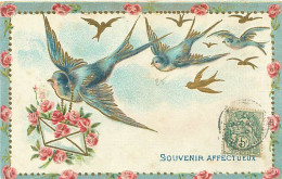 Carte Gaufrée - Oiseaux  Hirondelle Souvenir       Q 2602 - Uccelli