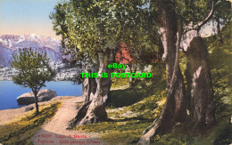 R613388 M. 5007. Lago Di Garda. Torbole. 1000 Jahrige Oliven. Photoglob. Zurich - Mundo