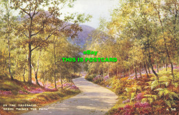 R614619 In Trossachs. Where Twines The Path. A. 518. Valentines Art Colour - Mundo