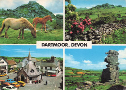 DARTMOOR . DEVON . CP Multivues - Autres & Non Classés