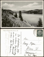 Ansichtskarte Titisee-Neustadt Titisee (Schwarzwald) 1939 - Titisee-Neustadt