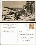 Falkau-Feldberg Schwarzwald Partie Am Haus Sonnwärts Pension Bes. B. Leis 1937 - Feldberg