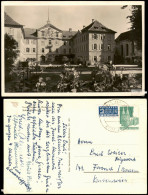 Ansichtskarte Insel Mainau-Konstanz Ortsansicht 1950 - Konstanz