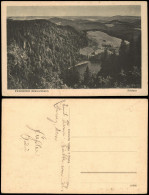 Ansichtskarte Feldberg (Schwarzwald) FELDBERG (Schwarzwald) Mit Feldsee 1922 - Feldberg