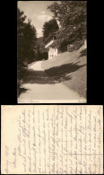 Ansichtskarte Bad Wildbad Partie Am Kurhaus 1928 - Other & Unclassified
