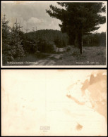 .Baden-Württemberg Schwarzwald (Mittelgebirge) Waldweg, Schwend - Fotokarte 1930 - Other & Unclassified