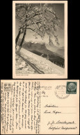 Fotokunst Und Natur Stimmungsbild E. Baumann "Sonne Und Schnee" 1938 - Non Classificati