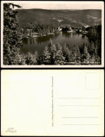 Ansichtskarte Seebach Mummelsee Im Schwarzwald 1950 - Other & Unclassified