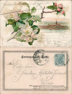 Ansichtskarte  Windmühlen (Gebäude) Botanik :: Blumen Künstlerkarte 1907 - Andere & Zonder Classificatie