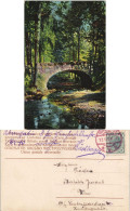 Ansichtskarte  Steinbrücke Im Wald Stimmungsbild: Natur 1916 - Ohne Zuordnung