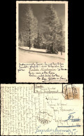 Winter-Ansichtskarte Schnee/Eis Stimmungsbild Neujahrsgrüsse 1932 - Non Classés