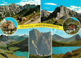 73359861 Tannheim Tirol Hoehenwanderung Tannheimer Berge Landsbergerhuette Gemse - Altri & Non Classificati