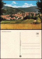 Ansichtskarte Wallenfels Panorama-Ansicht Ort Im Frankenwald 1980 - Andere & Zonder Classificatie