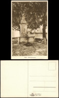 Ansichtskarte Diez (Lahn) Schloss Diez, Schlossbrunnen 1920 - Diez