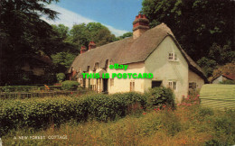 R613989 A New Forest Cottage. Salmon. 1965 - Monde