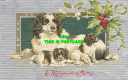 R614701 To Wish You A Merry Christmas. Dogs - World