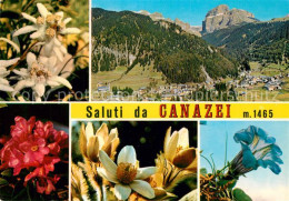 73359528 Canazei Panorama Alpenflora Canazei - Other & Unclassified