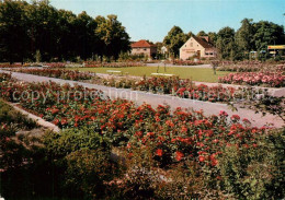 73358167 Britz Berlin Rosengarten Britz Berlin - Altri & Non Classificati