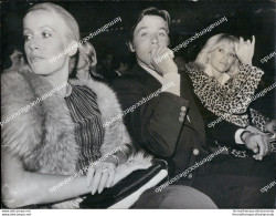 Fo2041 Foto Originale Catherine Deneuve Alain Delon M.darc Film Star Movie - Other & Unclassified