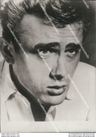 Fo2071 Foto Originale James Dean Actor Attore Film Star Movie - Autres & Non Classés